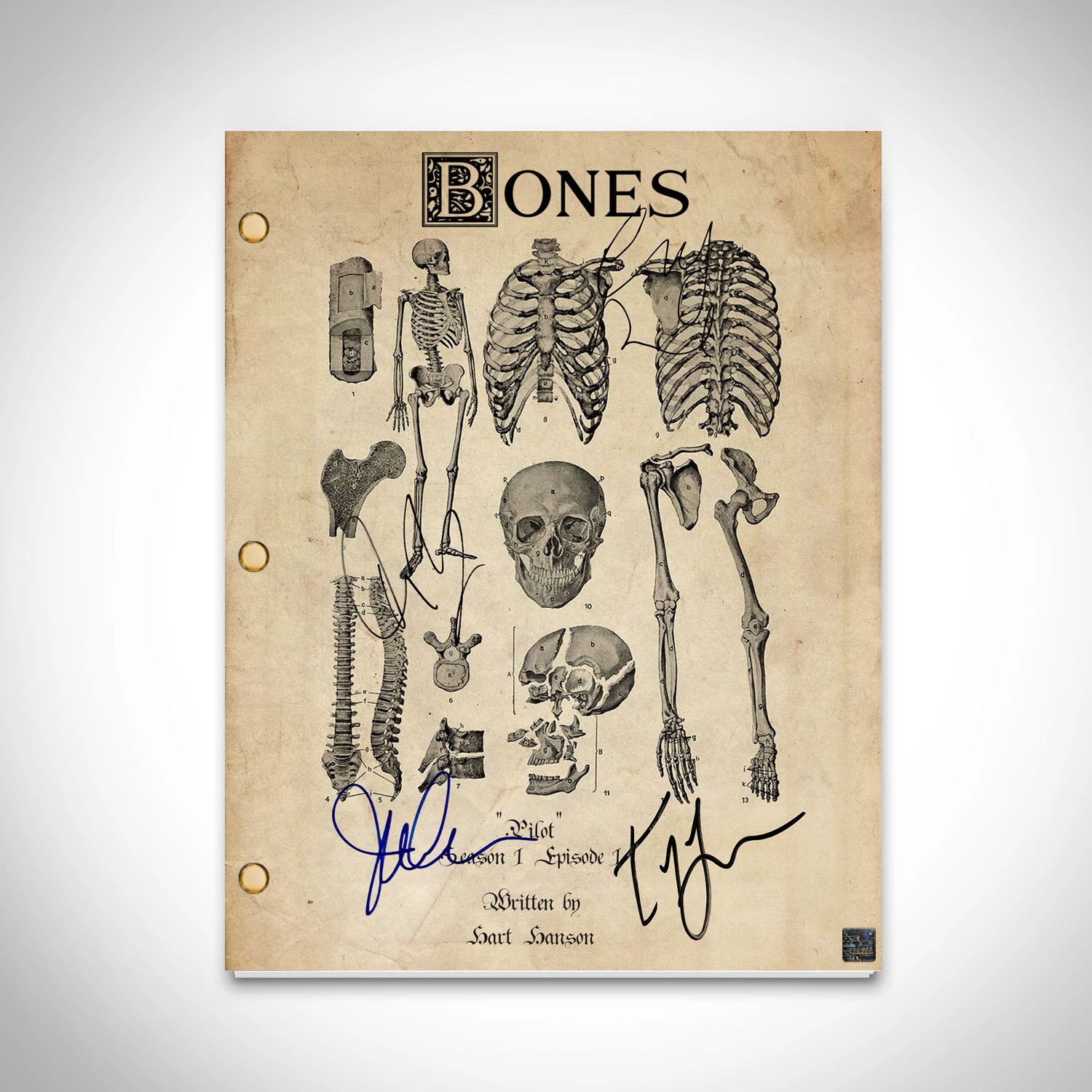 Bones Tv Show Script 60 Photos - Moonagedaydream.film