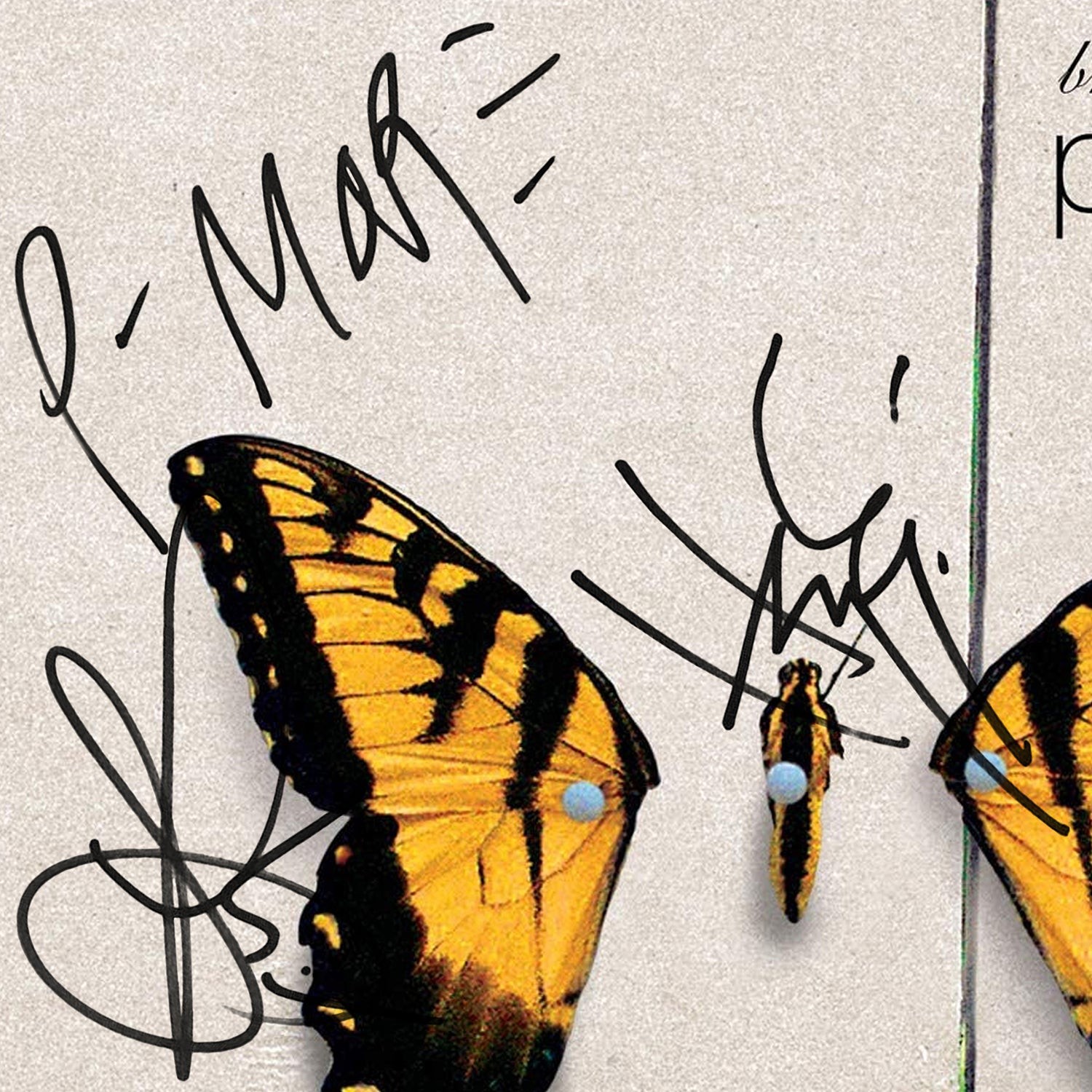 Paramore Butterfly Stickers for Sale