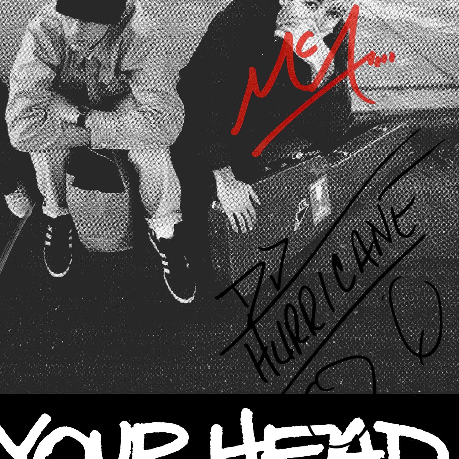 Beastie Boys Check Your Head LP Cover Limited Signature Edition