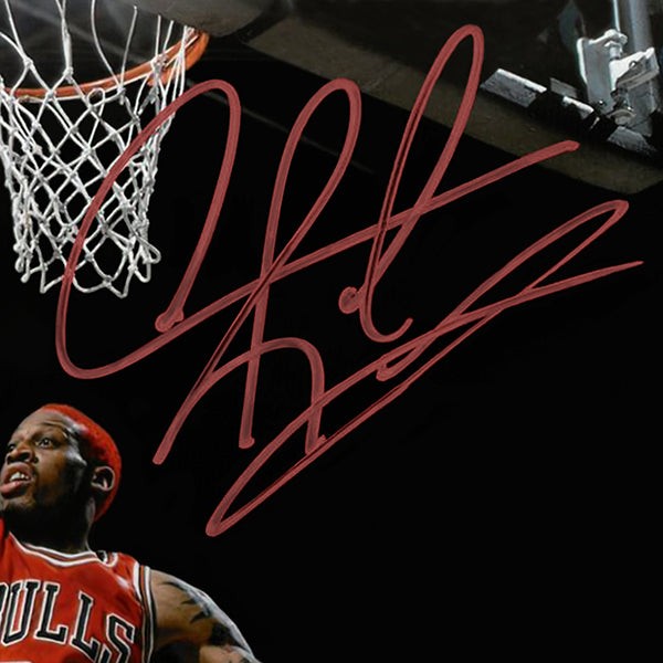 RARE-T Michael Jordan Space Jam Photo Limited Signature Edition Studio  Licensed Custom Frame : : Home
