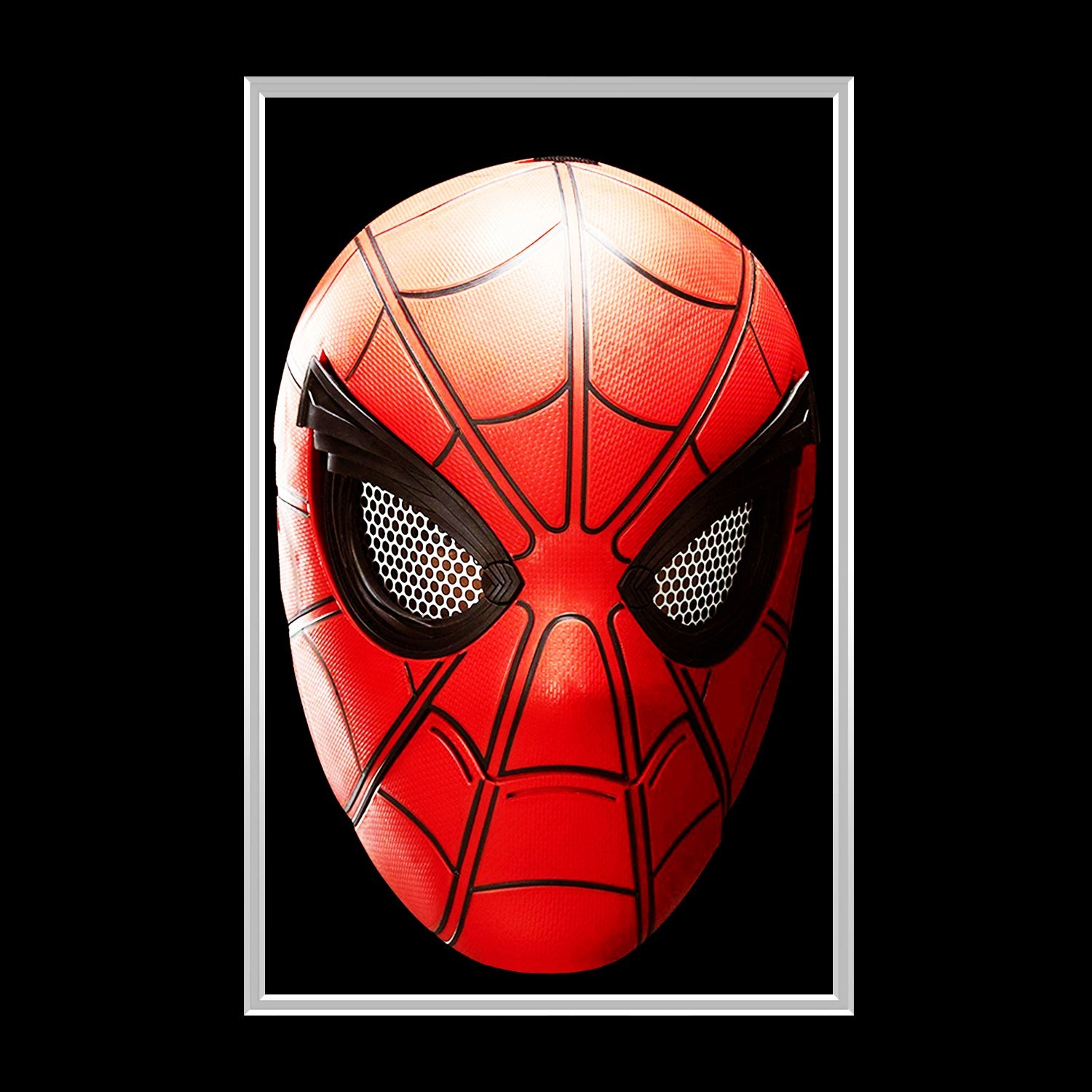 Spider-Man Vs Venom Mask Prop Limited Signature Edition Custom Frame