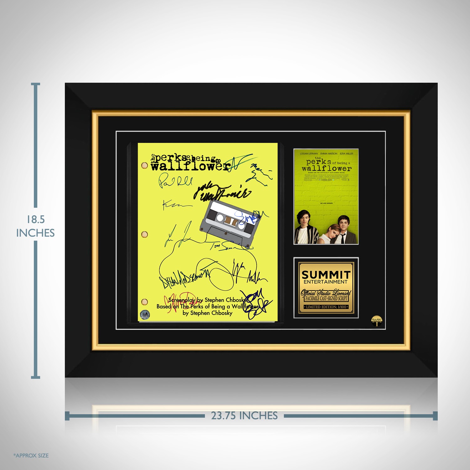 The Perks of Being a Wallflower Script Limited Signature Edition Custom  Frame
