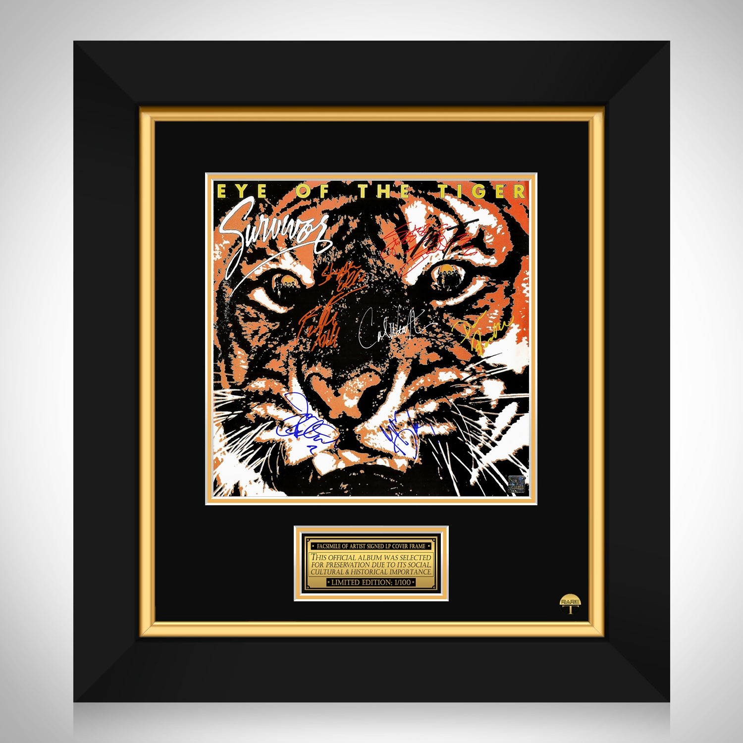Survivor - The Eye of the Tiger LP Cover Limited Signature Edition Custom  Frame