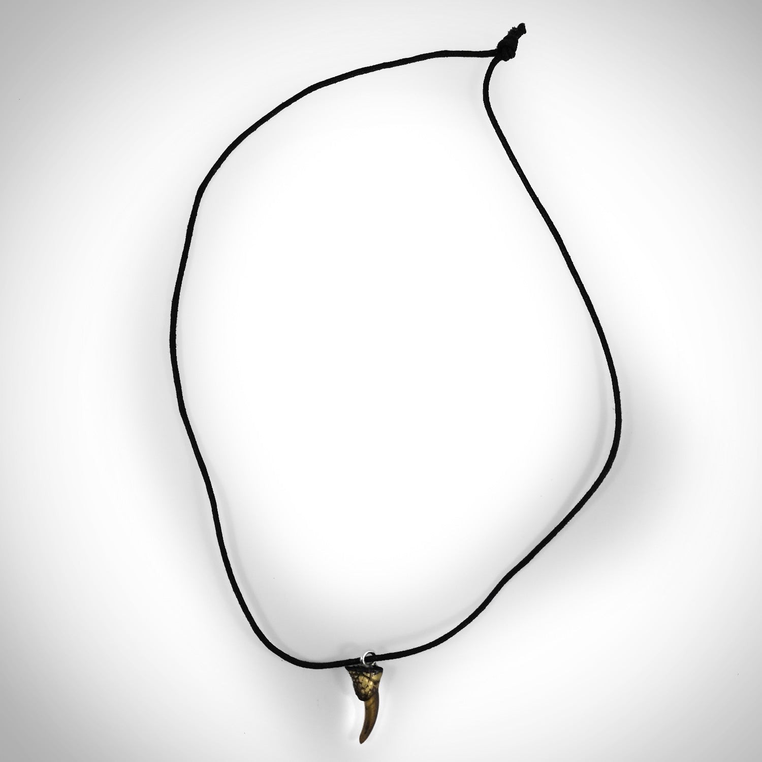 Claw necklace for men, men's alligator tooth necklace with a black wax  cord, silver plated claw pendant. gift for him, men's jewelry – Shani & Adi  Jewelry