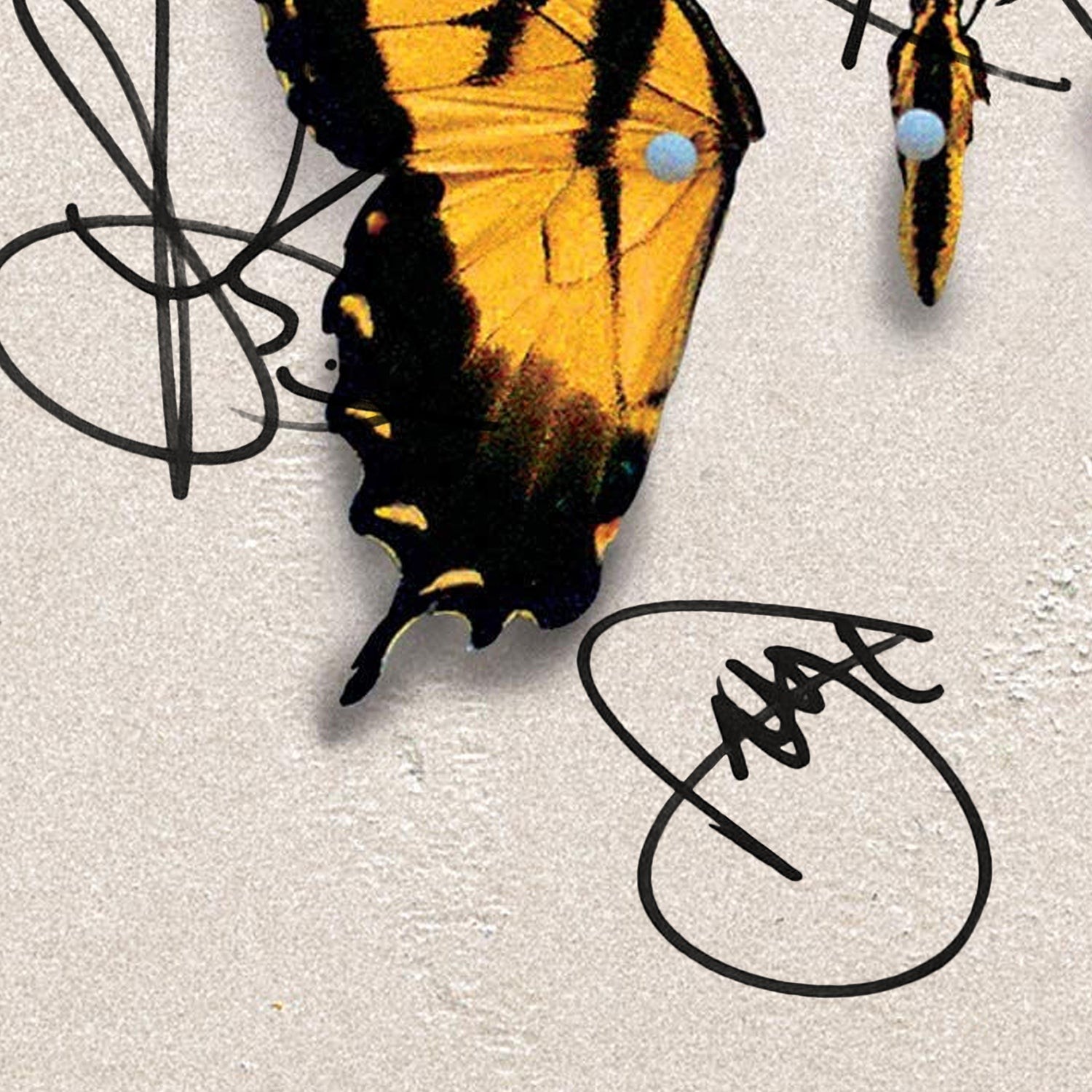 Paramore - Brand New Eyes LP Cover Limited Signature Edition